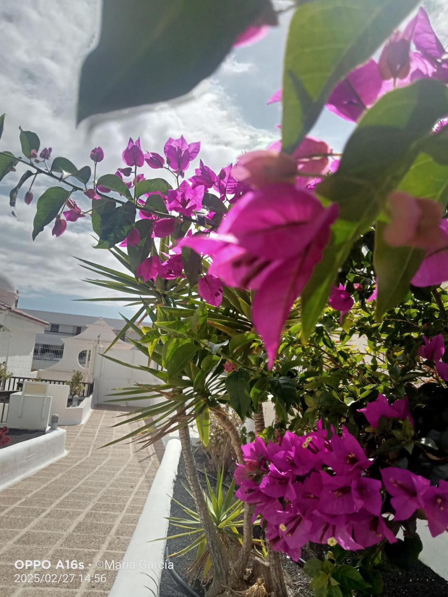 Playa FeñabePenthouse Sea View Jacuzzy Terrace & Poolアパートメント エクステリア 写真